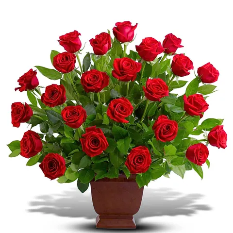 Rose Tribute
