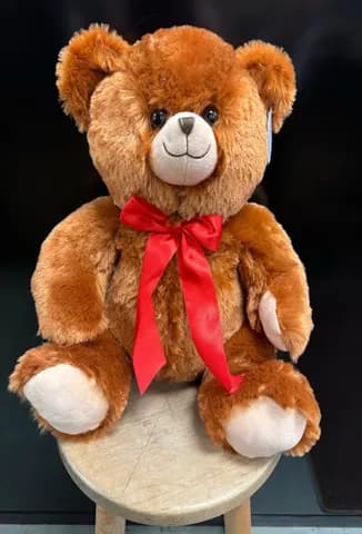 RBI PuffyTeddy Bear