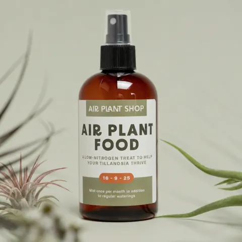 Air Plant Food