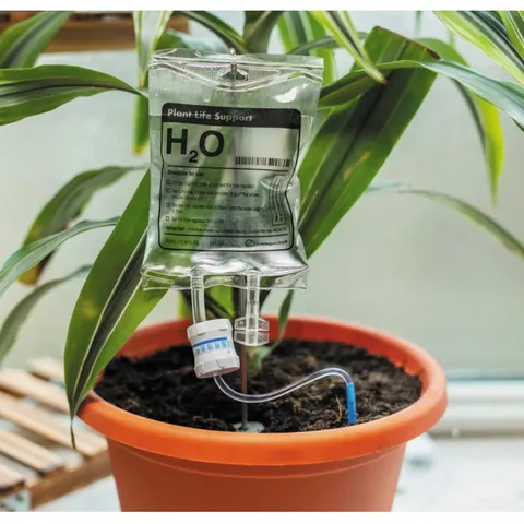 Plant Life Support Houseplant Watering Device