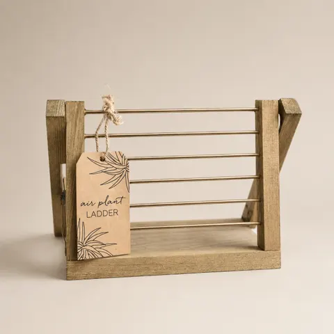 Air Plant Ladder