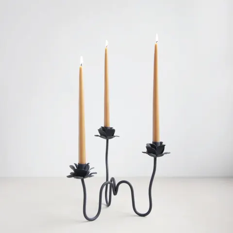 RANA CANDELABRA