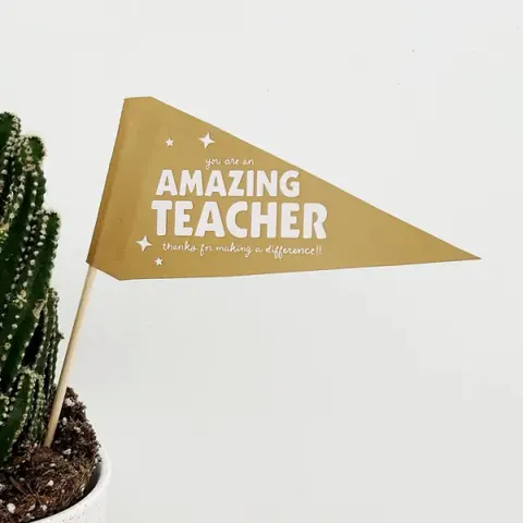 Amazing teacher flag